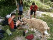 uscita scout 13 e 14 giugno 2014 014.jpg